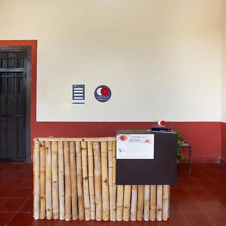 Capital O Hacienda Yunku Hotel, Yucatan Merida Bagian luar foto